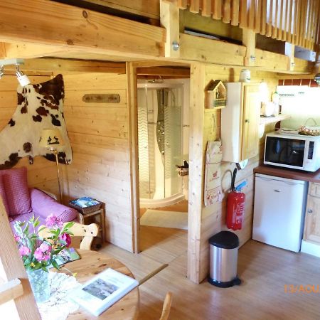 Chalet Fleur Des Neiges Saint-Jean-dʼAulps エクステリア 写真