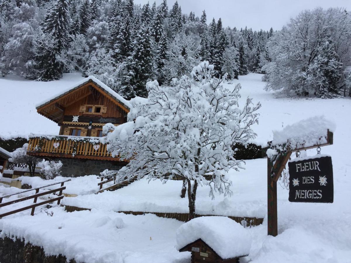 Chalet Fleur Des Neiges Saint-Jean-dʼAulps エクステリア 写真