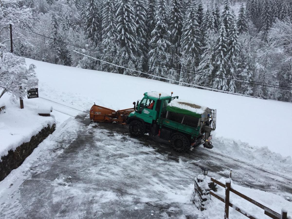 Chalet Fleur Des Neiges Saint-Jean-dʼAulps エクステリア 写真