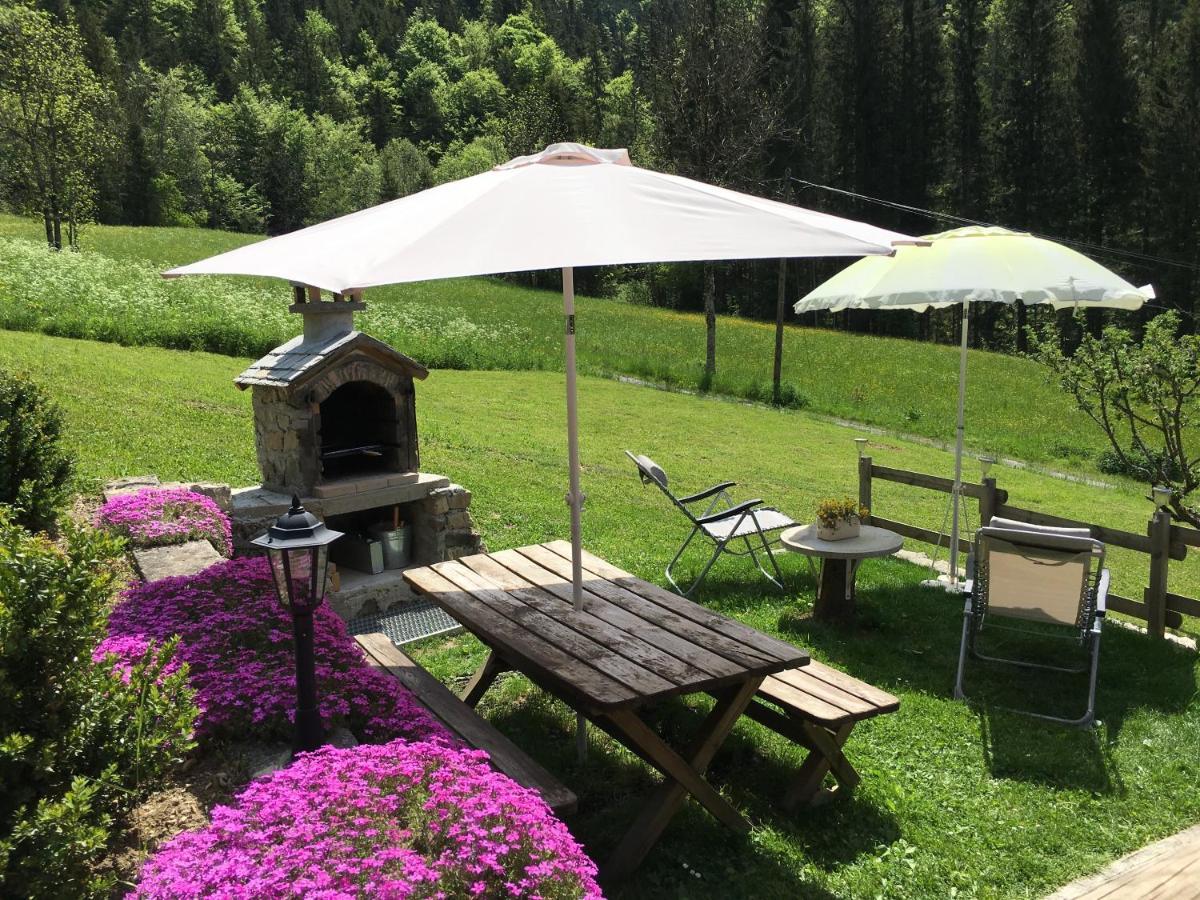 Chalet Fleur Des Neiges Saint-Jean-dʼAulps エクステリア 写真