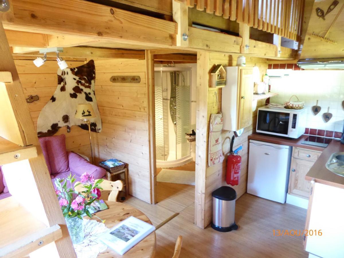 Chalet Fleur Des Neiges Saint-Jean-dʼAulps エクステリア 写真